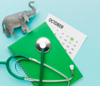 jadwal dokter penyakit dalam